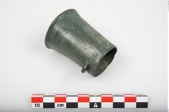 Foto von Bronzedosenortband (NHMW-PRAE-025860)